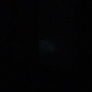 Meet your Posher, Rowena